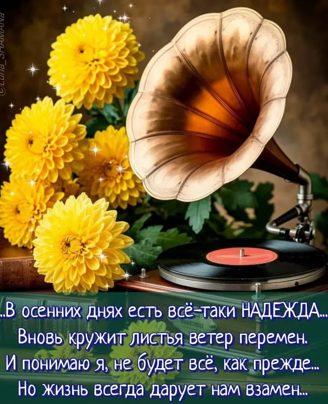 Позитивчик (фото, видео, рассказы для хорошего настроения)