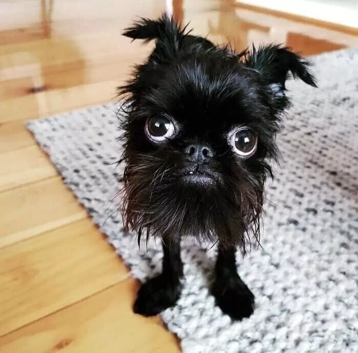 Позитивчик (фото, видео, рассказы для хорошего настроения)