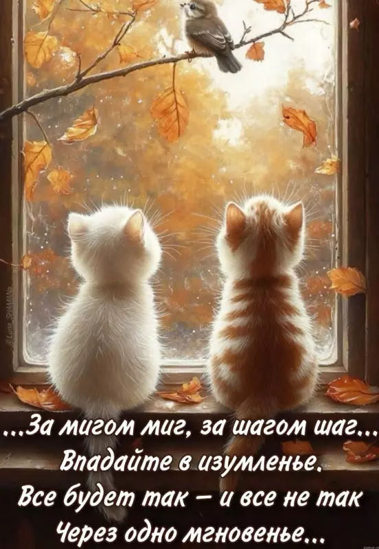 Позитивчик (фото, видео, рассказы для хорошего настроения)