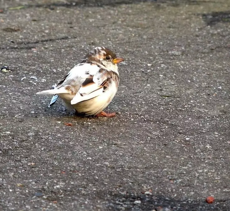 Позитивчик (фото, видео, рассказы для хорошего настроения)