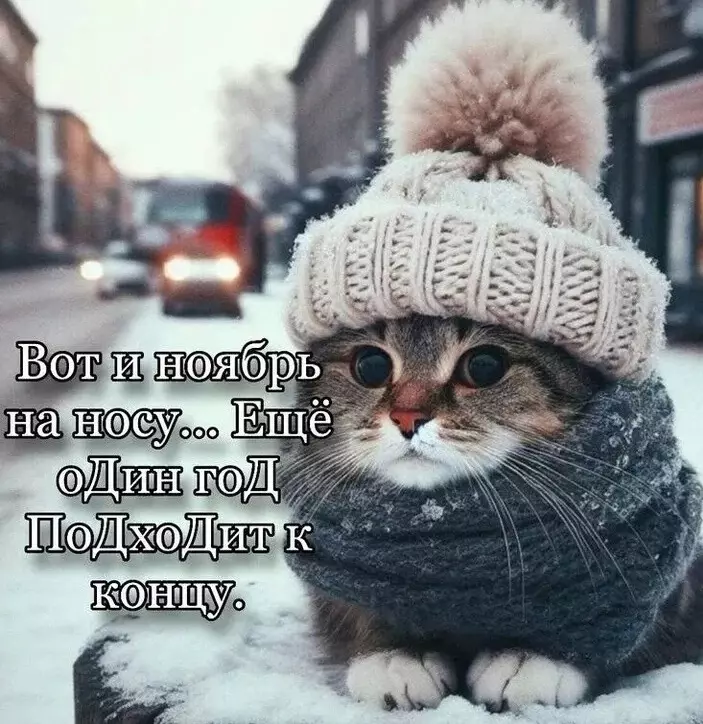 Позитивчик (фото, видео, рассказы для хорошего настроения)