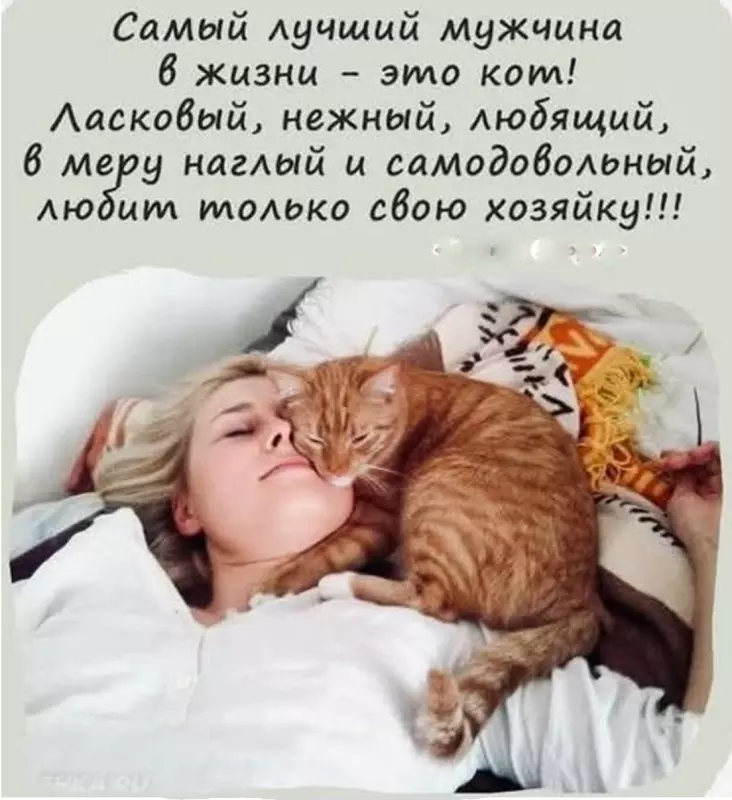 Позитивчик (фото, видео, рассказы для хорошего настроения)