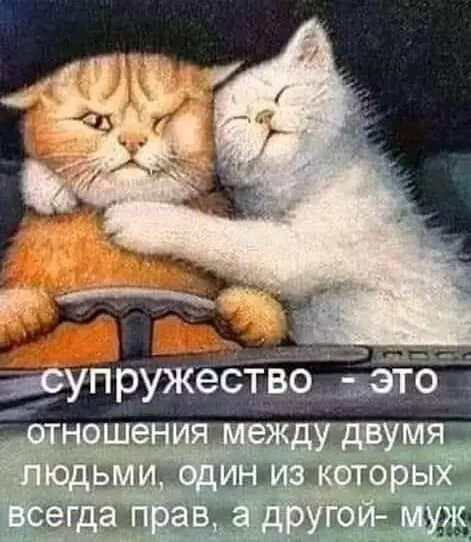 Позитивчик (фото, видео, рассказы для хорошего настроения)