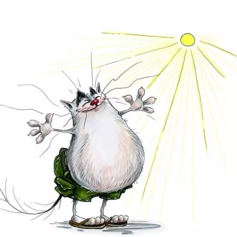 Позитивчик (фото, видео, рассказы для хорошего настроения)