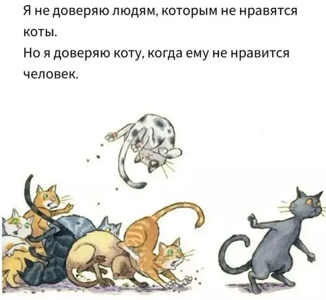 Позитивчик (фото, видео, рассказы для хорошего настроения)