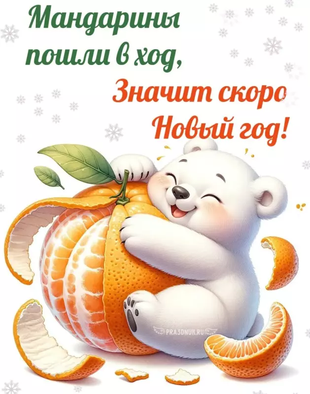 Позитивчик (фото, видео, рассказы для хорошего настроения)