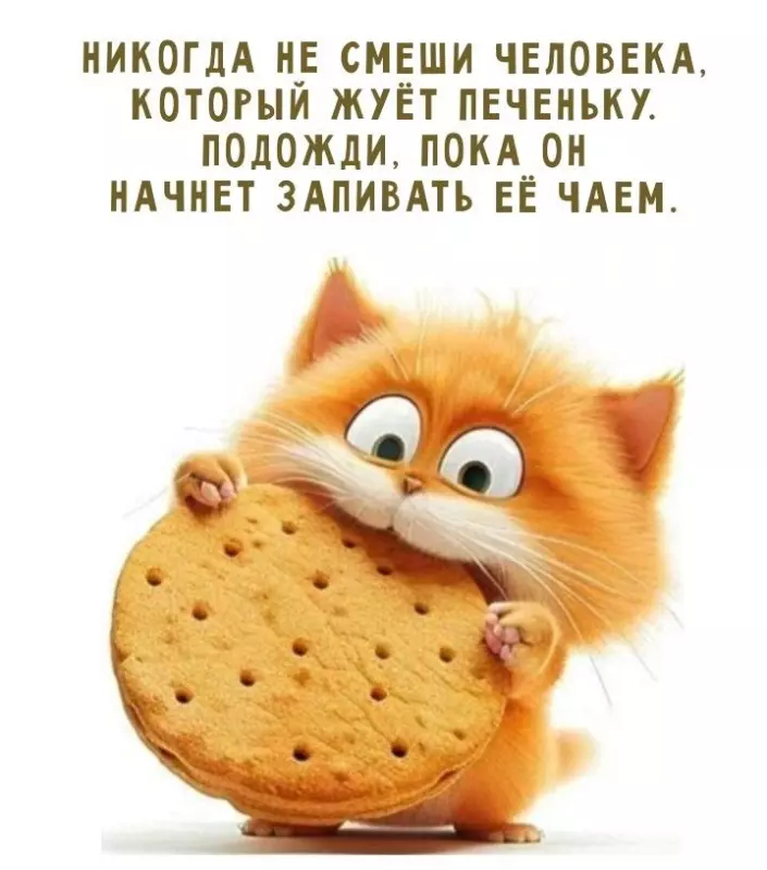 Позитивчик (фото, видео, рассказы для хорошего настроения)