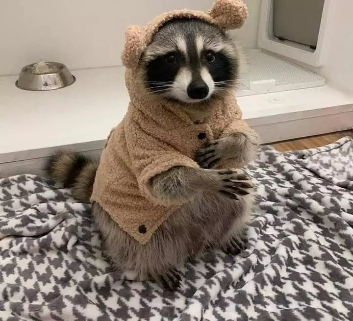 Позитивчик (фото, видео, рассказы для хорошего настроения)