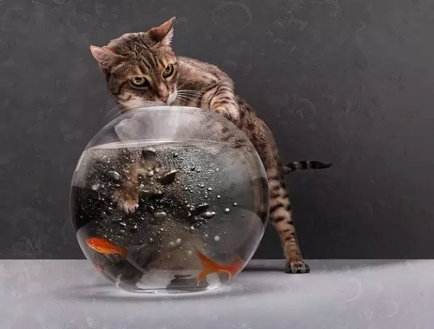 Позитивчик (фото, видео, рассказы для хорошего настроения)