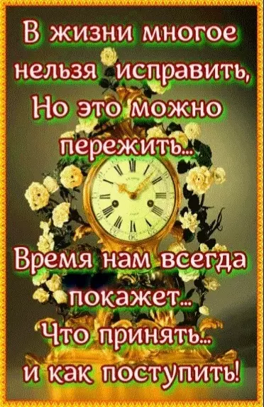 Позитивчик (фото, видео, рассказы для хорошего настроения)