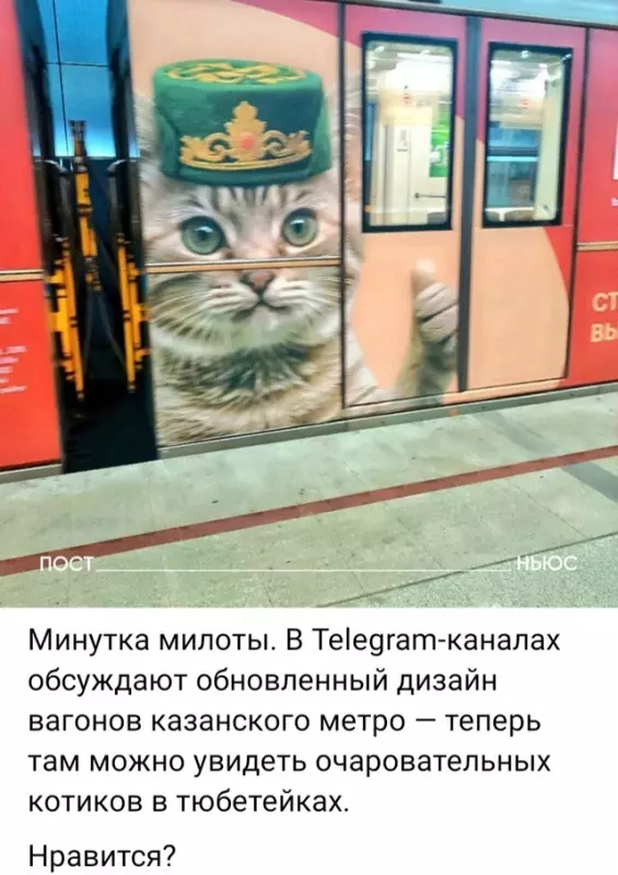 Позитивчик (фото, видео, рассказы для хорошего настроения)