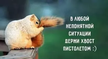 Позитивчик (фото, видео, рассказы для хорошего настроения)