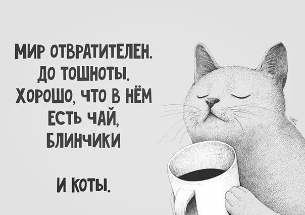 Позитивчик (фото, видео, рассказы для хорошего настроения)
