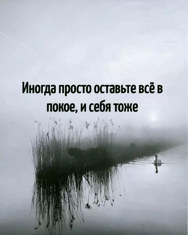 Позитивчик (фото, видео, рассказы для хорошего настроения)