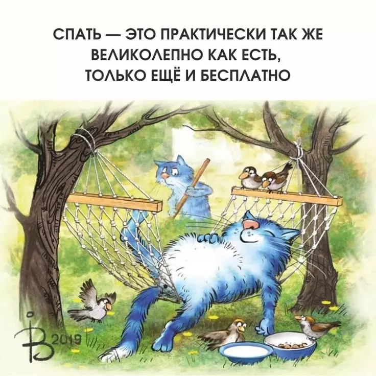 Позитивчик (фото, видео, рассказы для хорошего настроения)