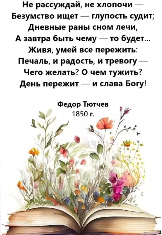 Позитивчик (фото, видео, рассказы для хорошего настроения)