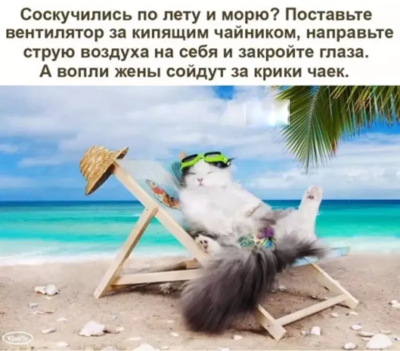 Позитивчик (фото, видео, рассказы для хорошего настроения)