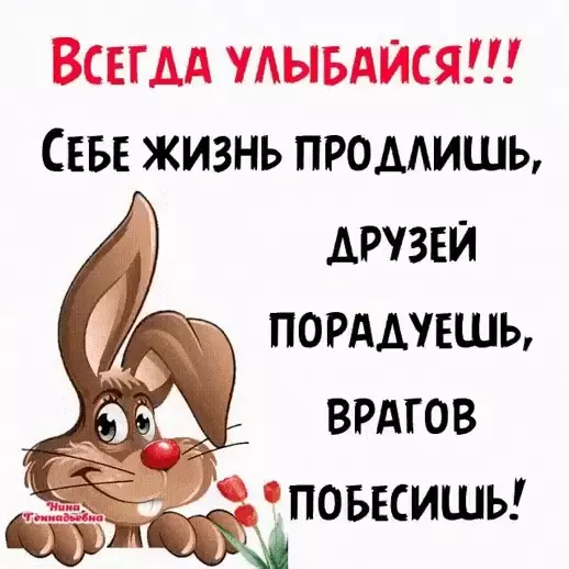 Позитивчик (фото, видео, рассказы для хорошего настроения)