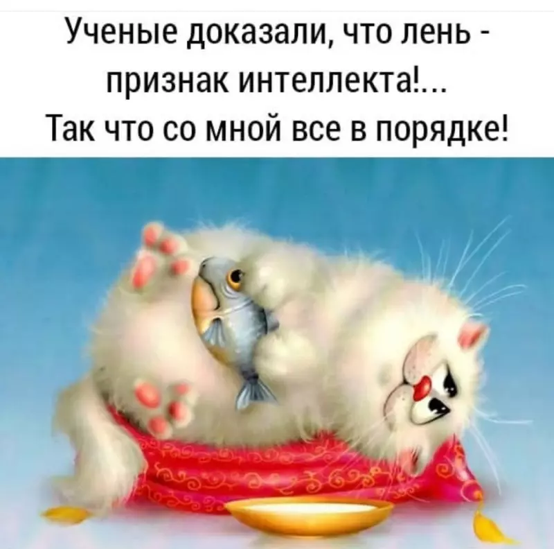 Позитивчик (фото, видео, рассказы для хорошего настроения)