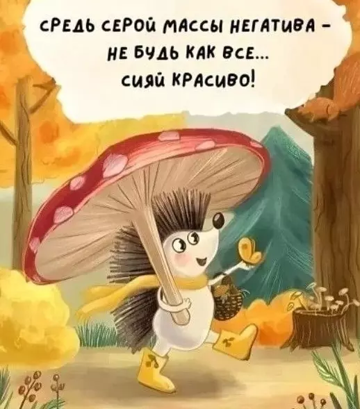 Позитивчик (фото, видео, рассказы для хорошего настроения)