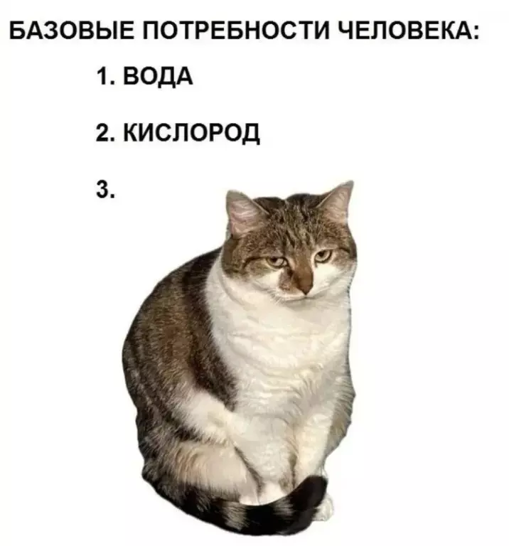 Позитивчик (фото, видео, рассказы для хорошего настроения)