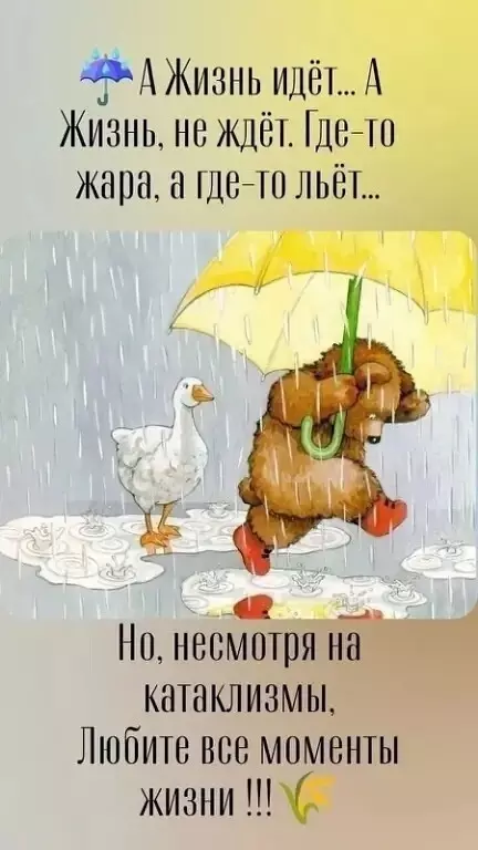 Позитивчик (фото, видео, рассказы для хорошего настроения)
