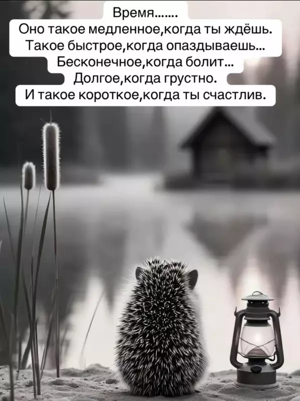 Позитивчик (фото, видео, рассказы для хорошего настроения)