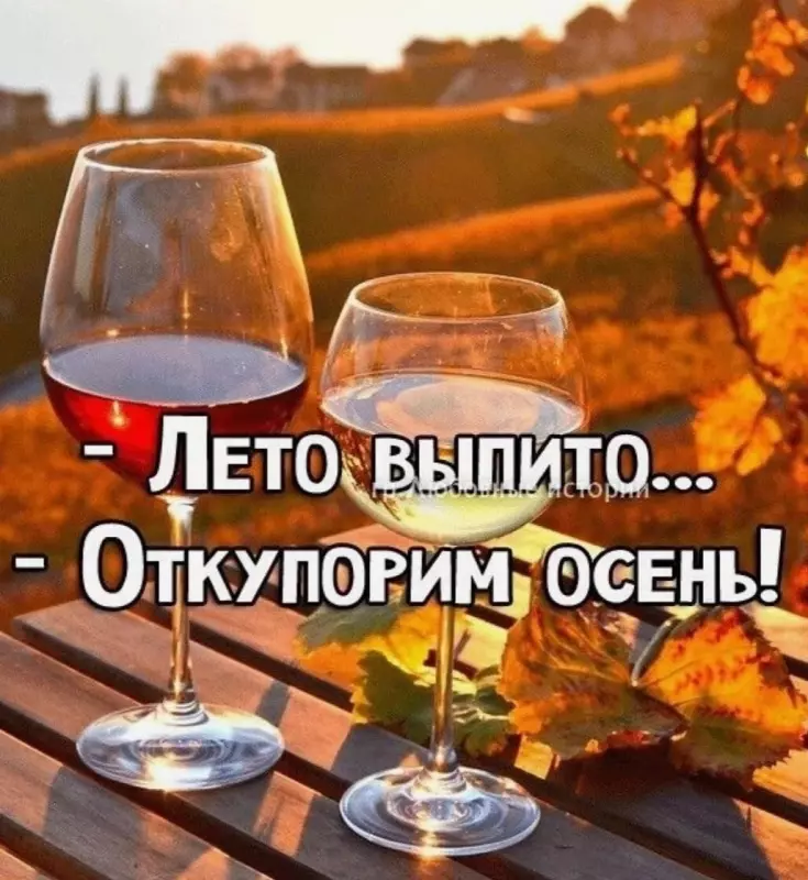 Позитивчик (фото, видео, рассказы для хорошего настроения)