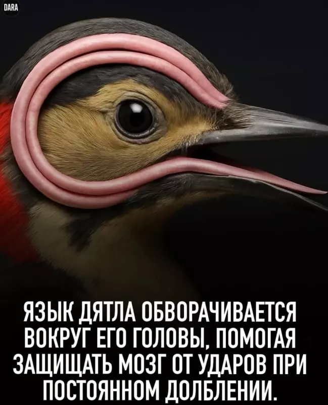 Это интересно!