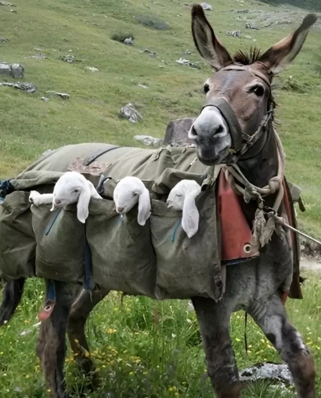 Это интересно!