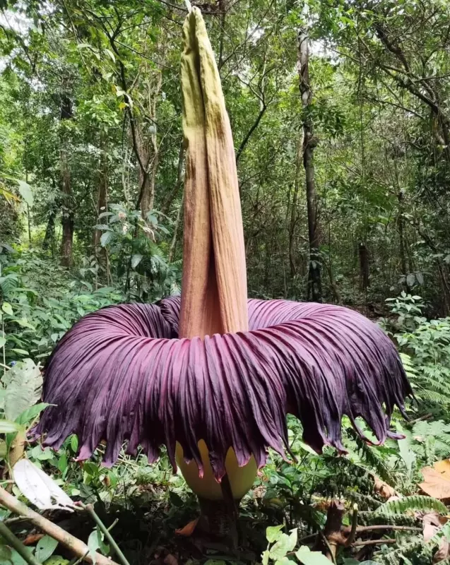 Это интересно!