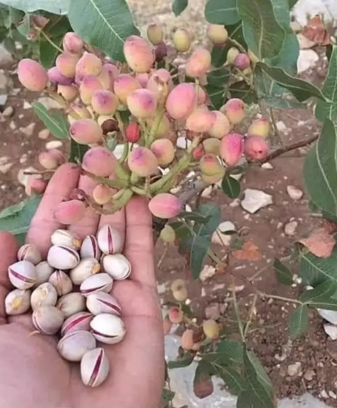 Это интересно!