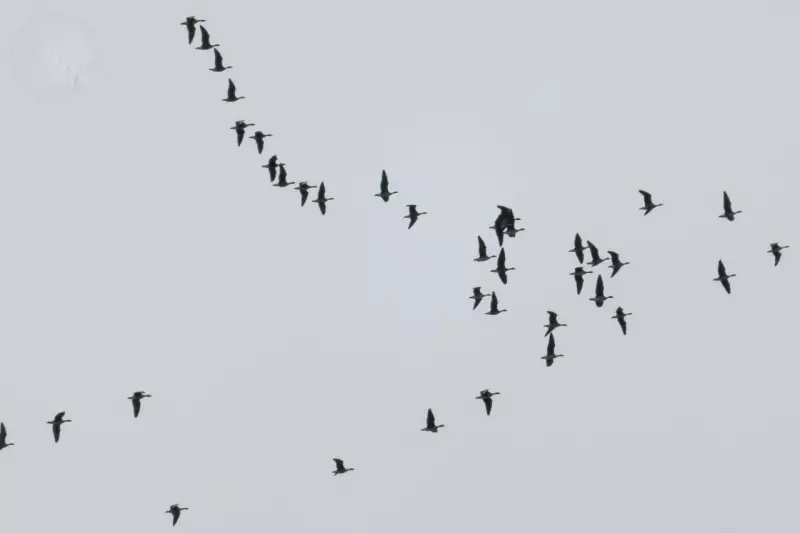 Это интересно!