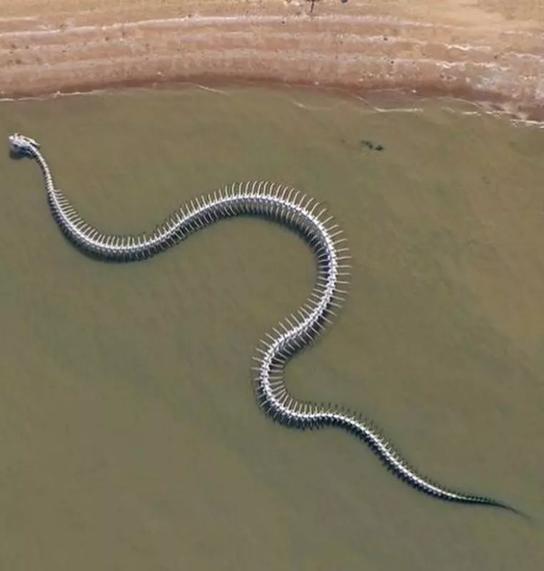 Это интересно!