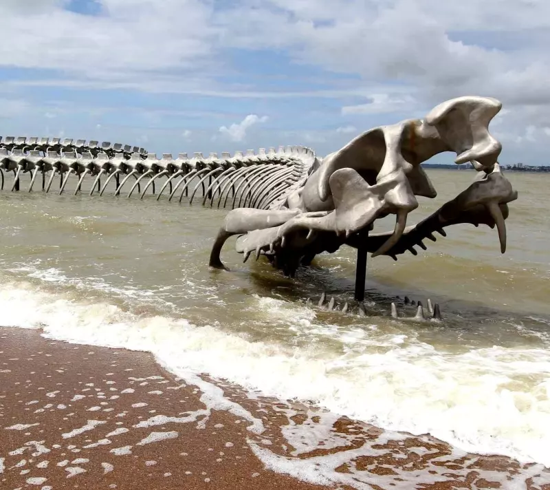 Это интересно!