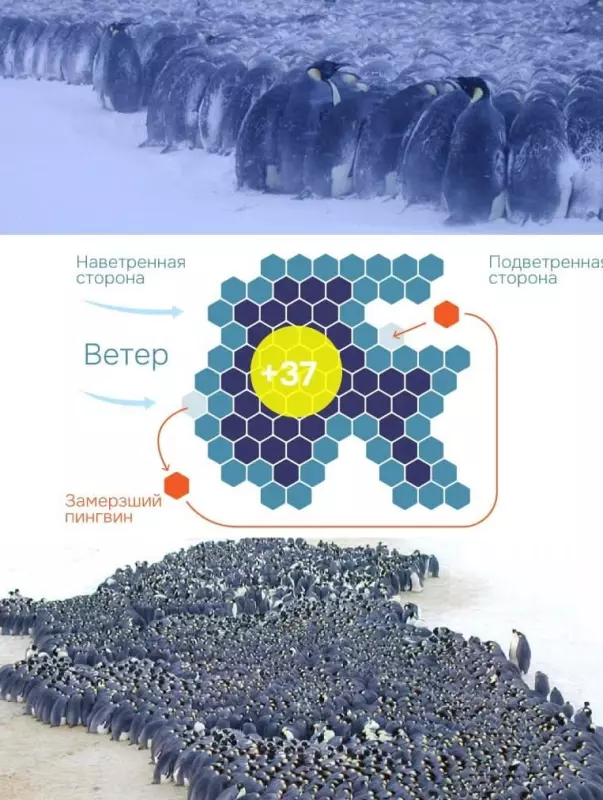 Это интересно!