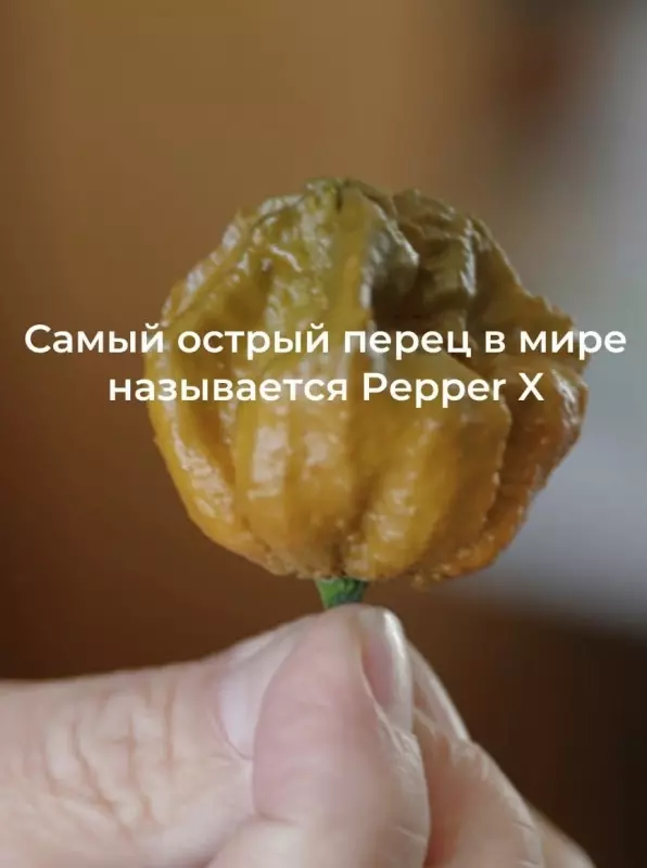 Это интересно!