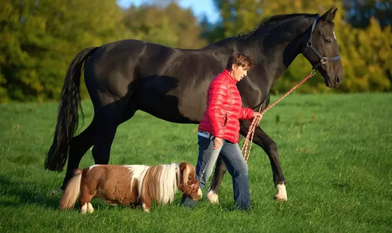 Это интересно!
