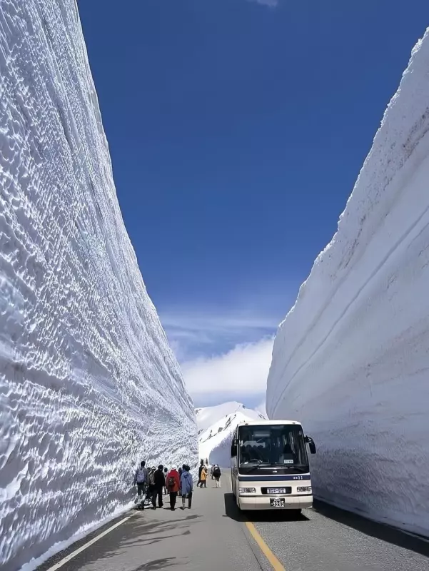 Это интересно!