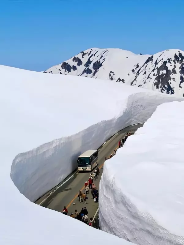 Это интересно!