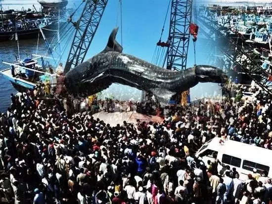 Это интересно!