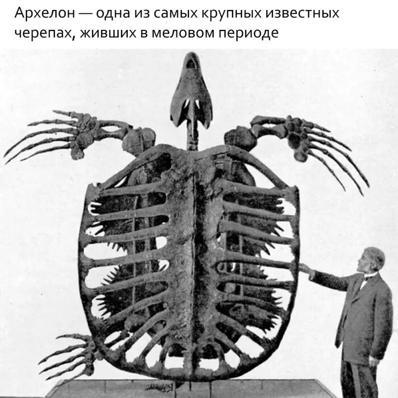 Это интересно!