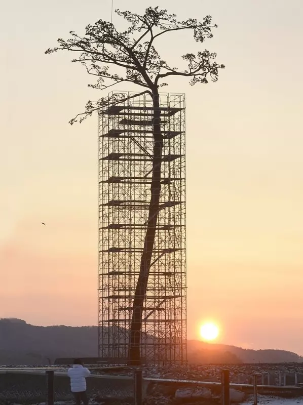 Это интересно!