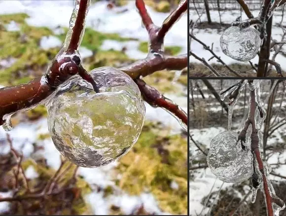 Это интересно!