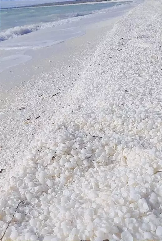 Это интересно!