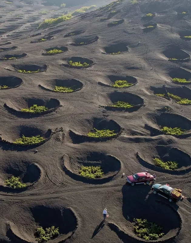 Это интересно!