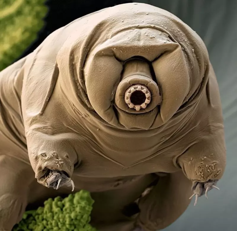 Это интересно!