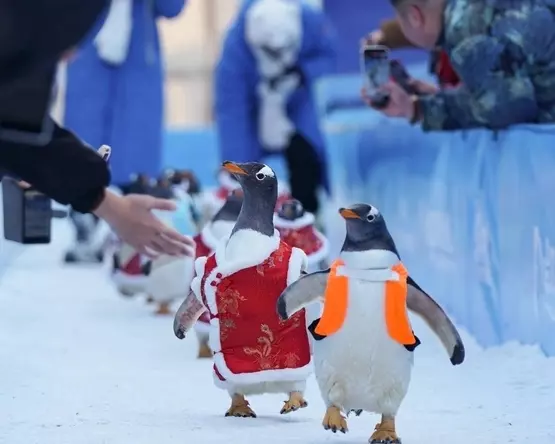 Это интересно!