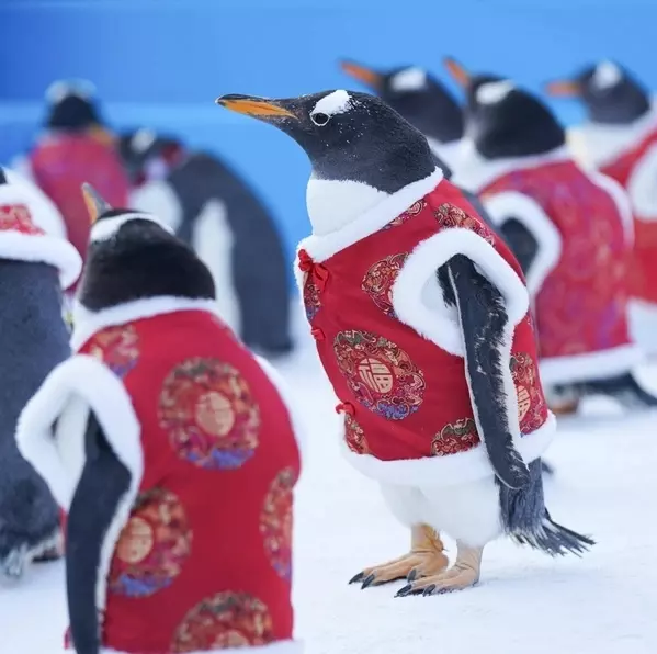 Это интересно!