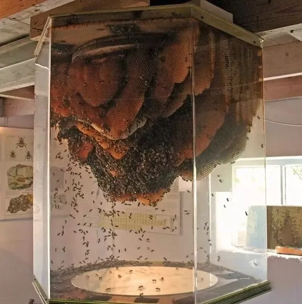 Это интересно!